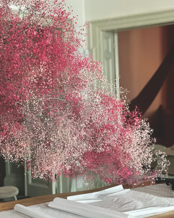 Detalle de flores de cerezo