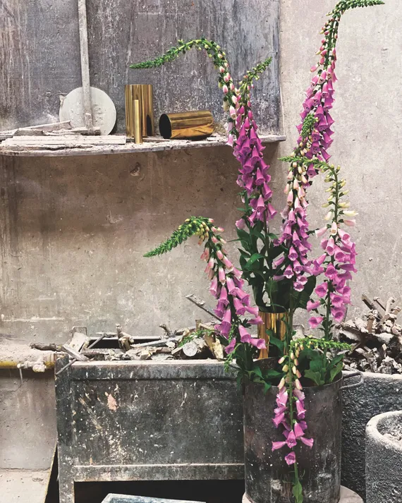 Flores dedalera en detalle