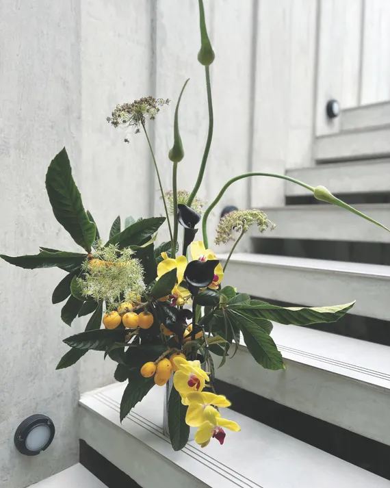 Composición con lirios